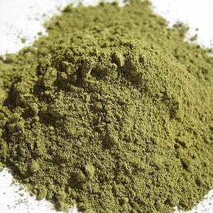 Psychotria viridis (Chacruna) Powder Extract