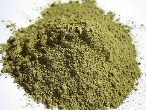Psychotria viridis (Chacruna) Powder Extract