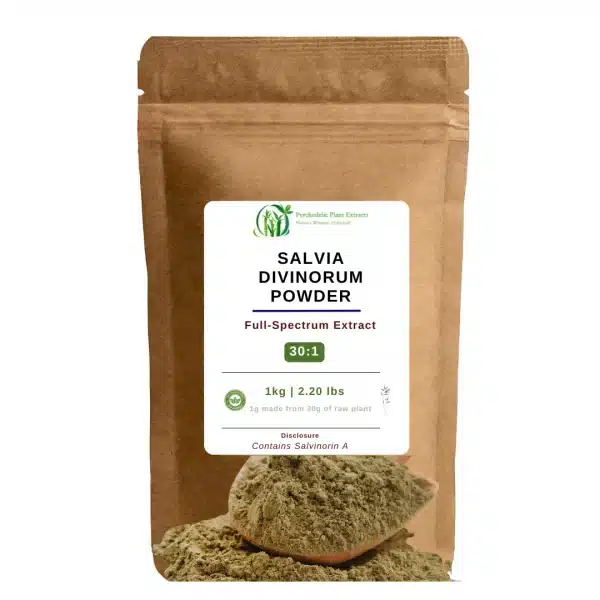 Salvia divinorum Powder Extract