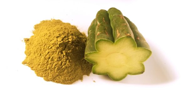 San Pedro Cactus Powder Extract