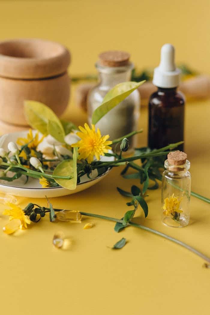 Psychedelic Plant Extracts Psychedelic Plant Extracts