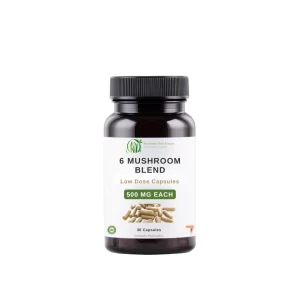 Mushroom Capsules 500 mg Low Dose Blend