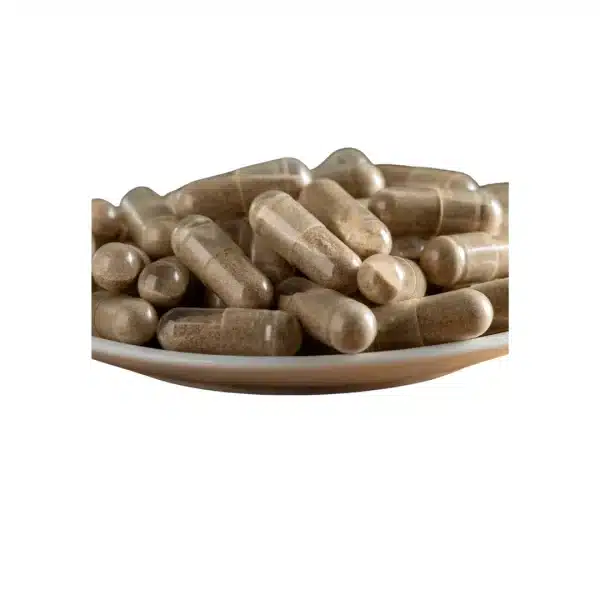 Mushroom Capsules 500 mg Low Dose Blend