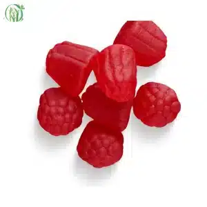 Mushroom Gummies 300mg Microdose Blend